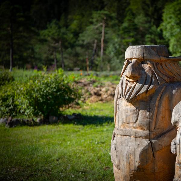 IL NOSTRO GIARDINO DELLE ERBE OFFICINALI